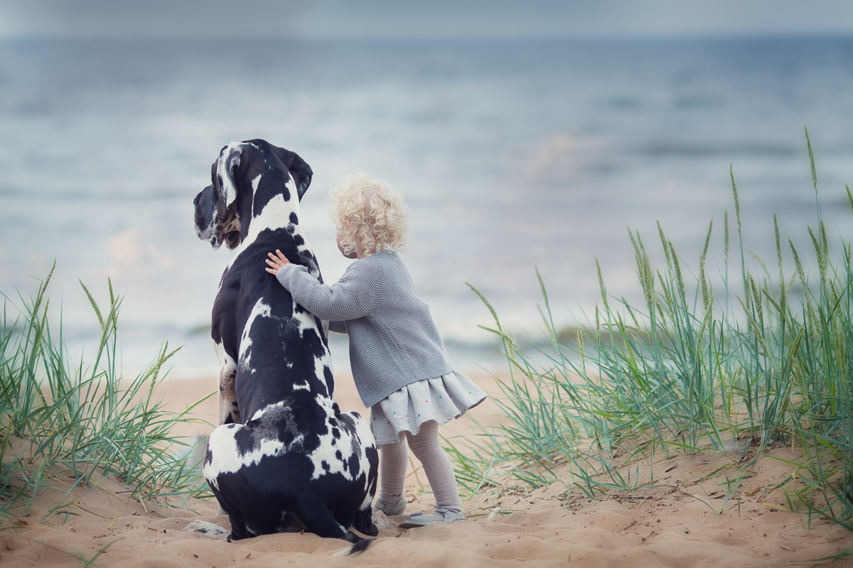 Little blonde girl with great dane on the sand beach in summer